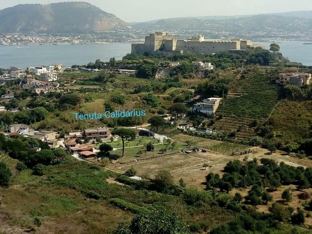 Tenuta Calidarius Baia  Exterior foto